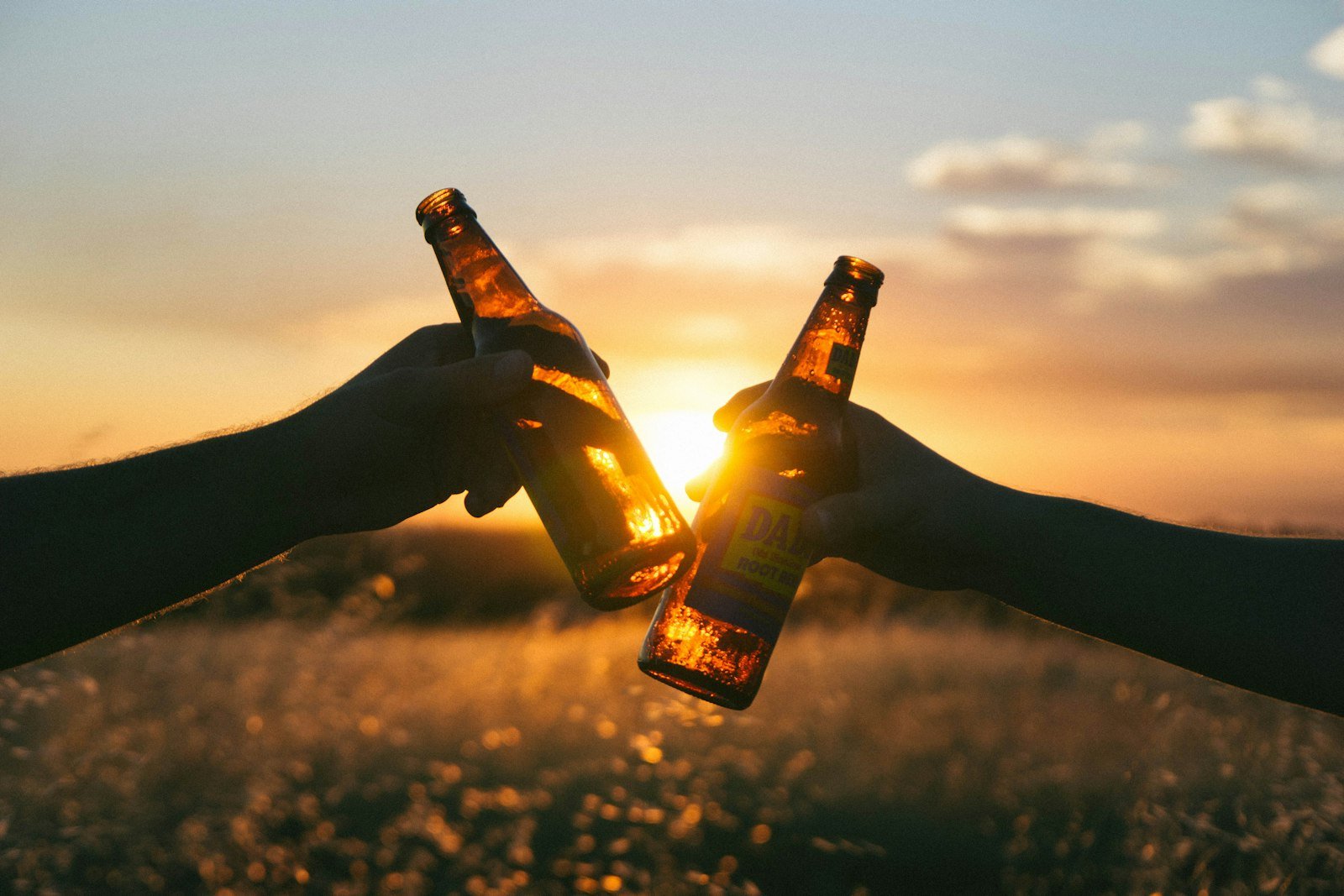 Zwei Bierflaschen stoßen im Gegenlicht an